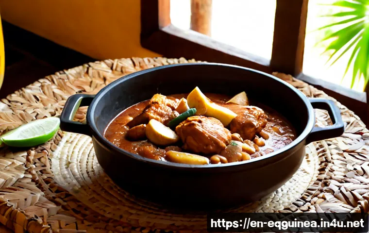 적도 기니의 전통 요리 레시피 - Photorealistic overhead food photography of a traditional Equatorial Guinean chicken and peanut stew...